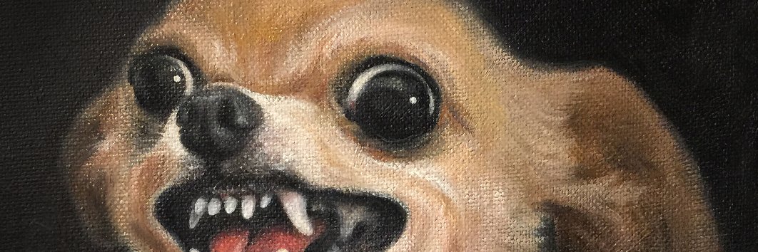 petcasso's profile banner image