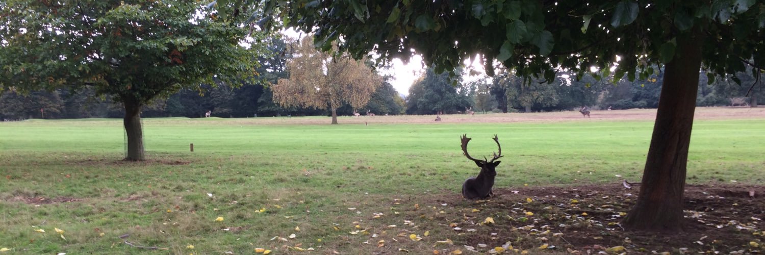Martin Peacock banner