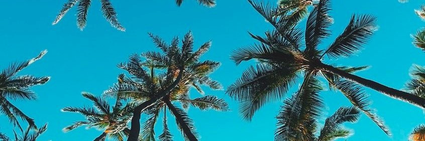 KarlizDnobrega's profile banner image