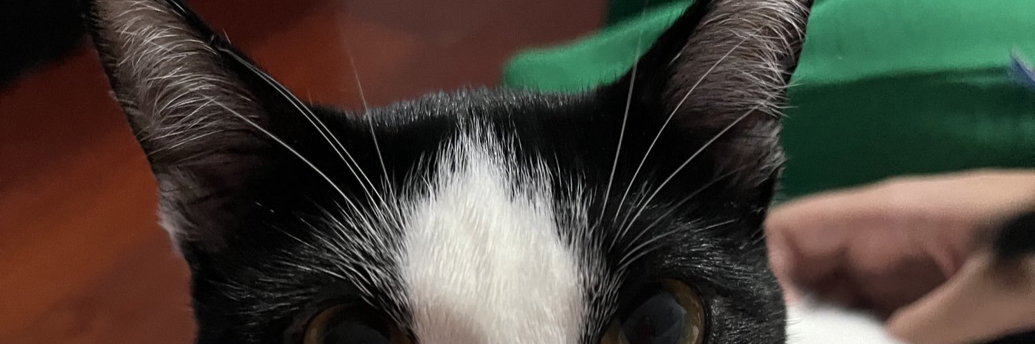 _Feecorrea's profile banner image