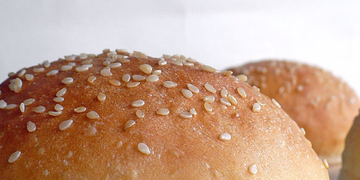 buttscientist's profile banner image