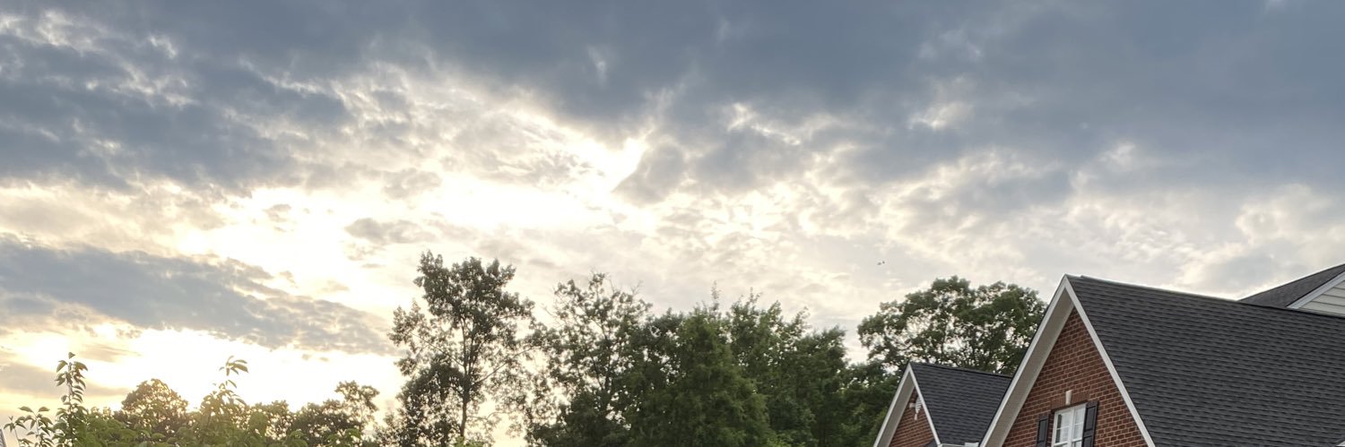 nutsinderm's profile banner image