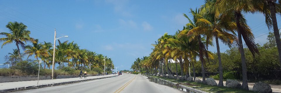 Electric77 banner