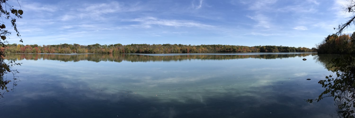 Matthew Plotkin banner