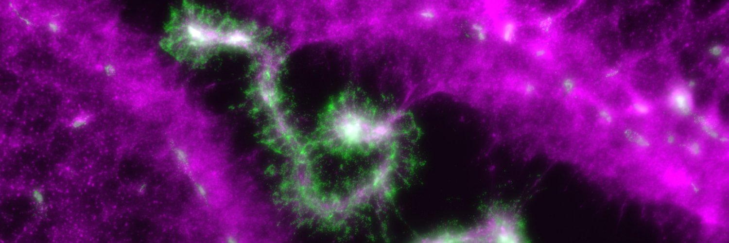 Ryann Fame, PhD banner