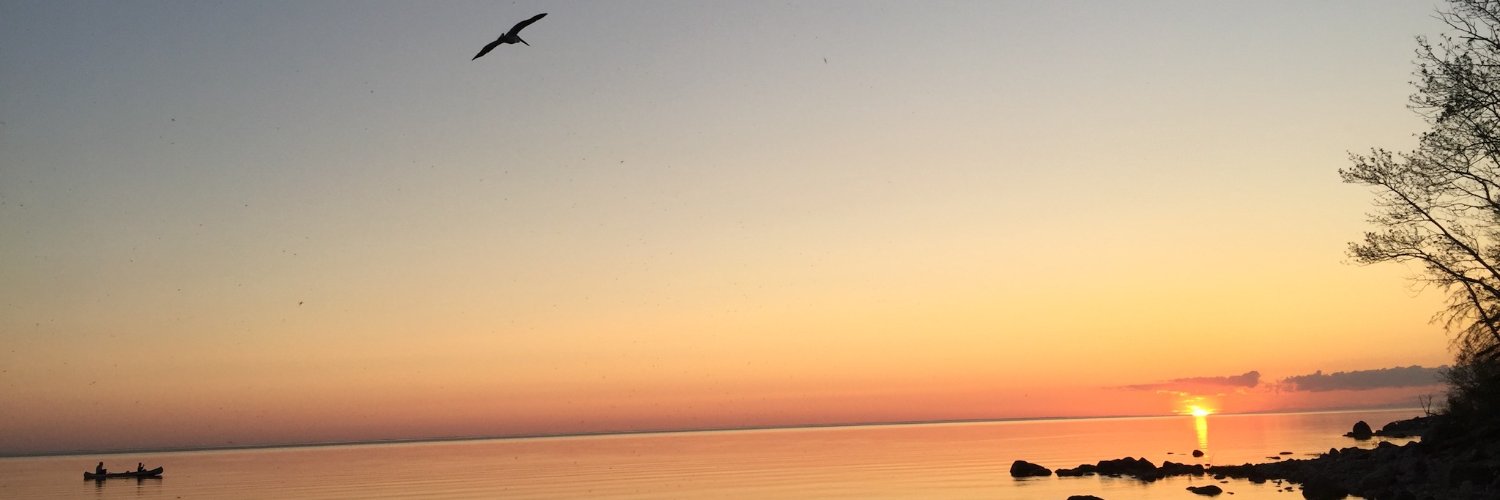 HollyRaban's profile banner image