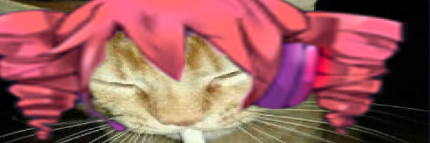 Gayer's banner