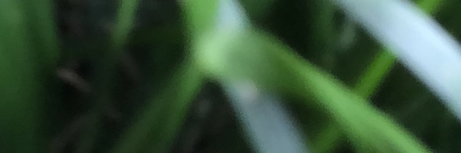 明智 banner