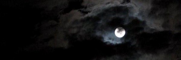 fabedior Profile Banner