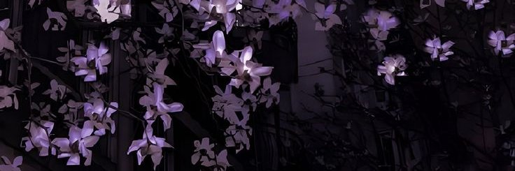 sleepyazuuu's profile banner image