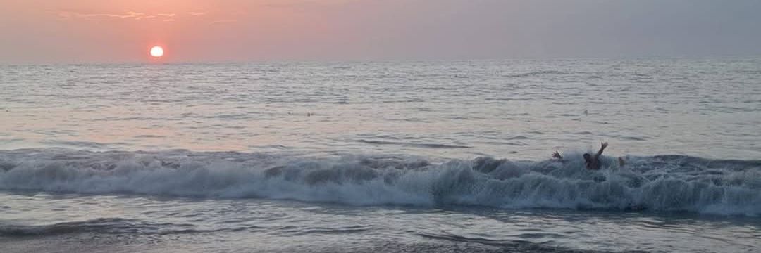 Sandy🌺 banner
