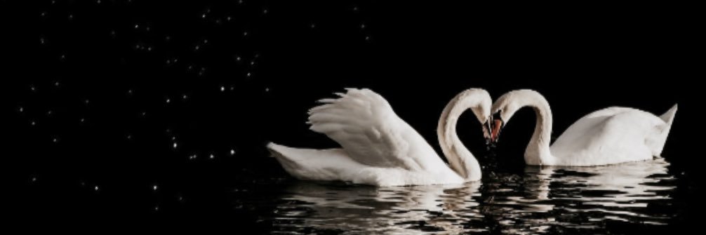 d2692x's profile banner image