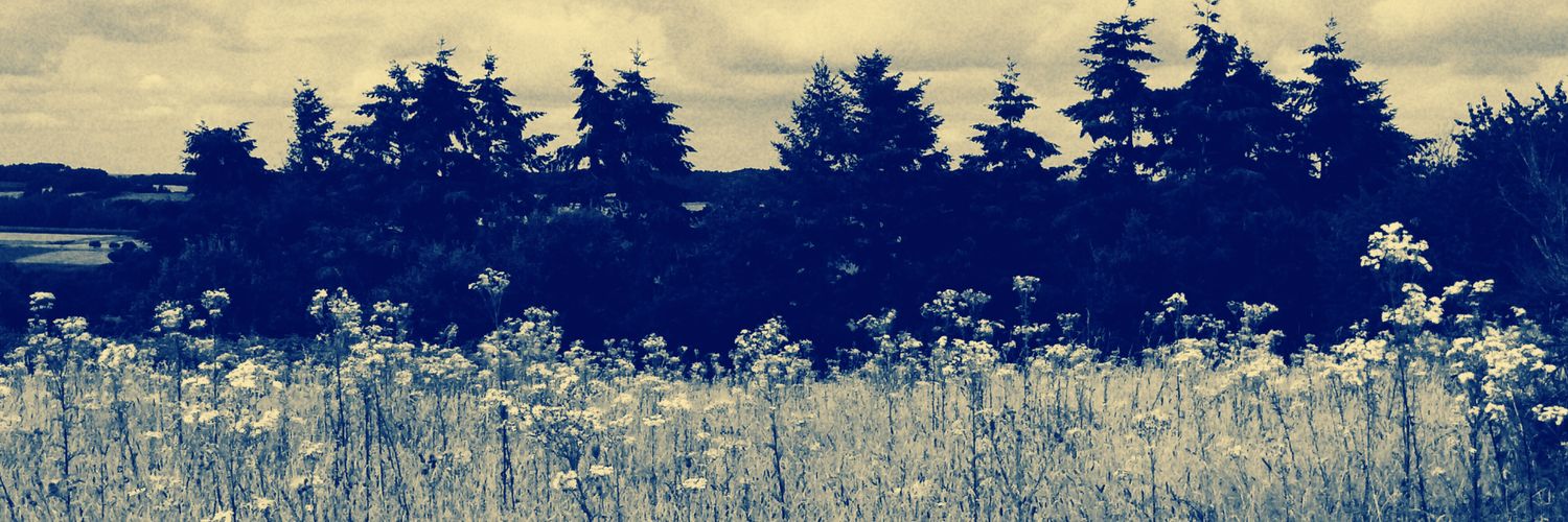 Cocoasiis's profile banner image