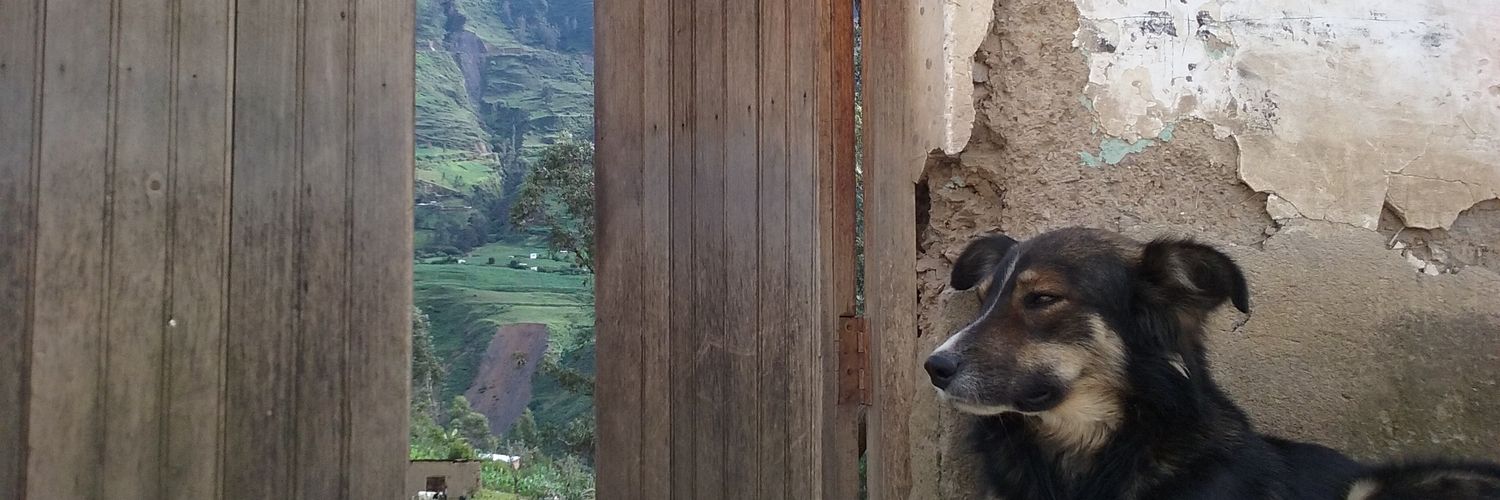 tutorademarguch's profile banner image