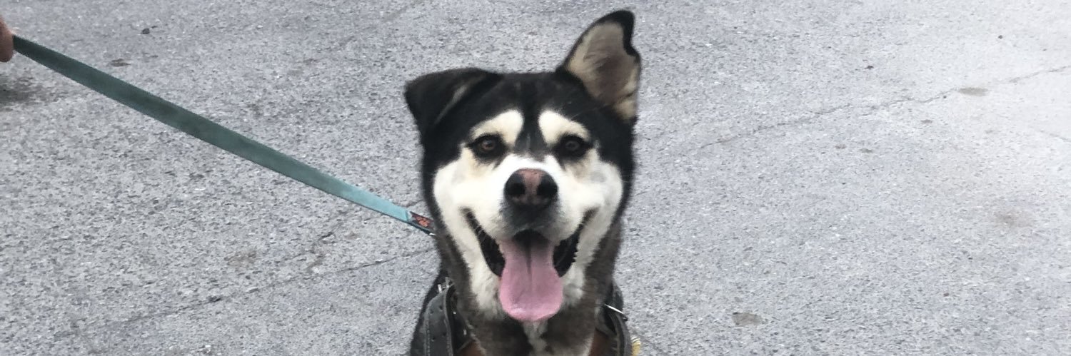 Nadiaestrad's profile banner image
