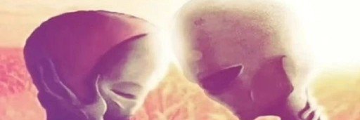 lenasathler's profile banner image