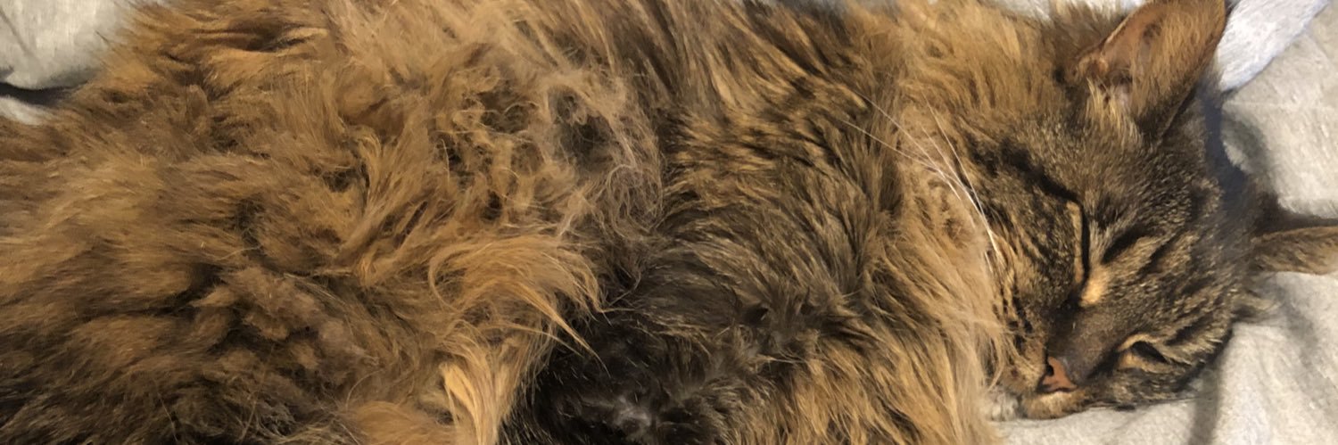 Sleepy Bre, MD 😴 banner