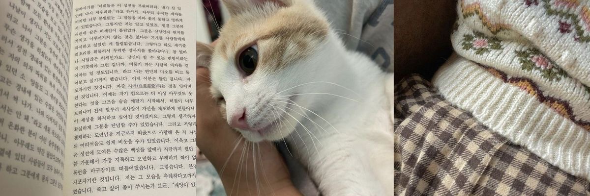 itvter's profile banner image