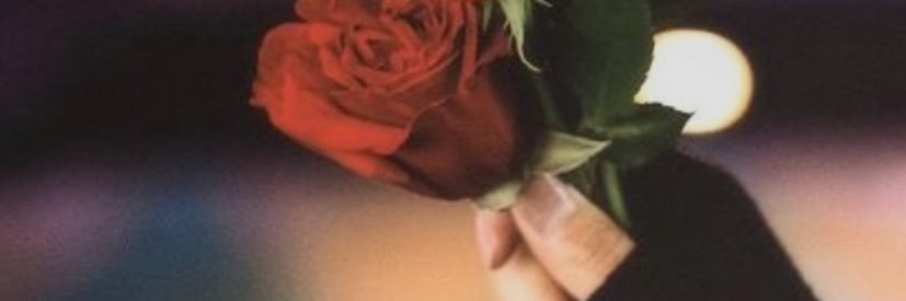 shaskonni's profile banner image