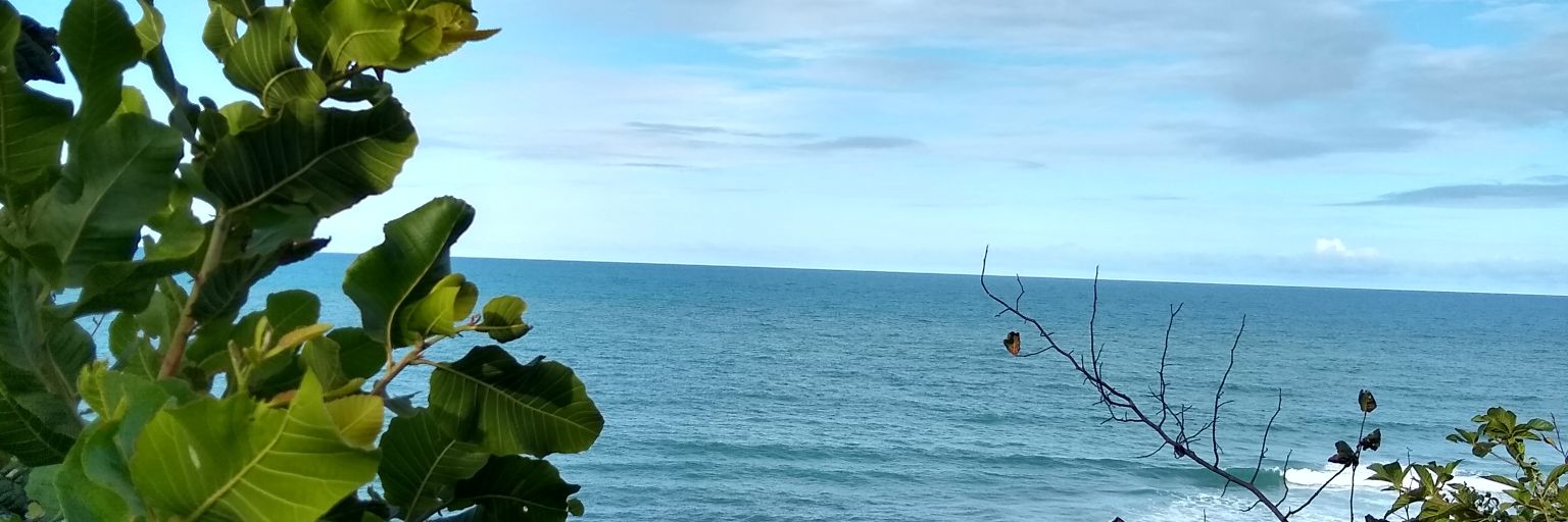 caroolina_cs's profile banner image