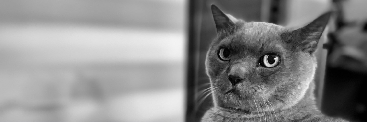 Alex Binda Fernández banner