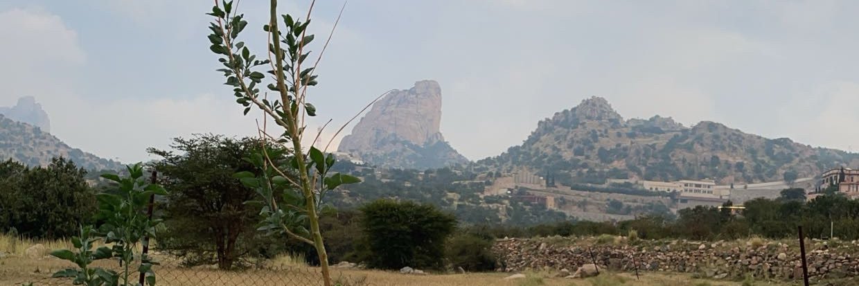 أبو عُمر banner