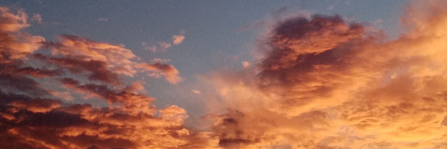 ElPandaCozu's profile banner image