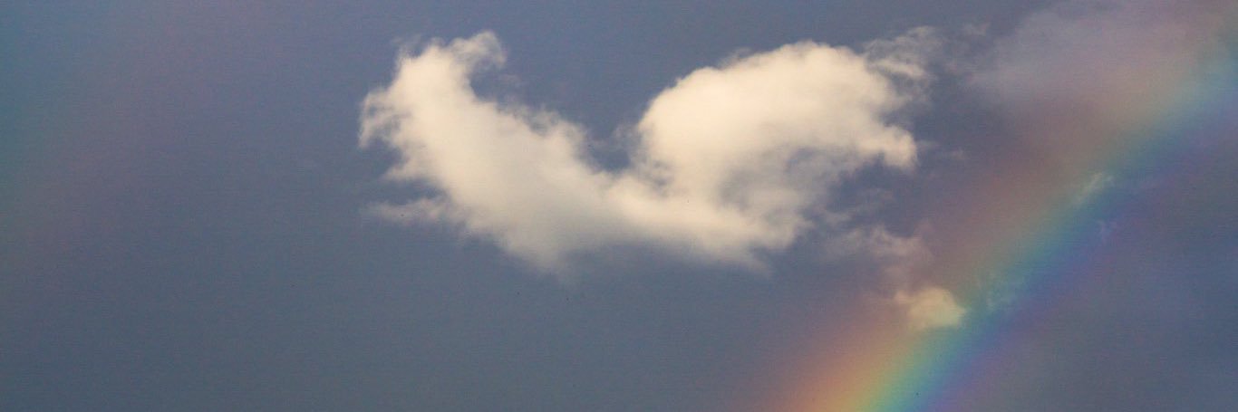 roongnutwa's profile banner image