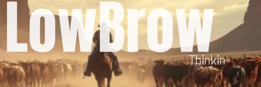 Low Brow Thinkin banner