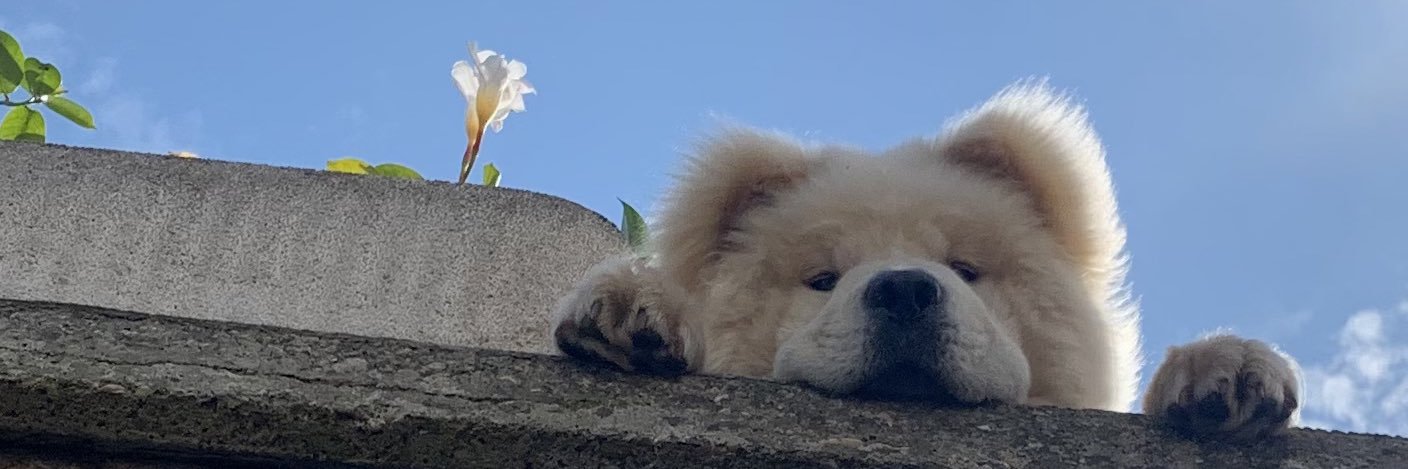 Clem_Esteban's profile banner image