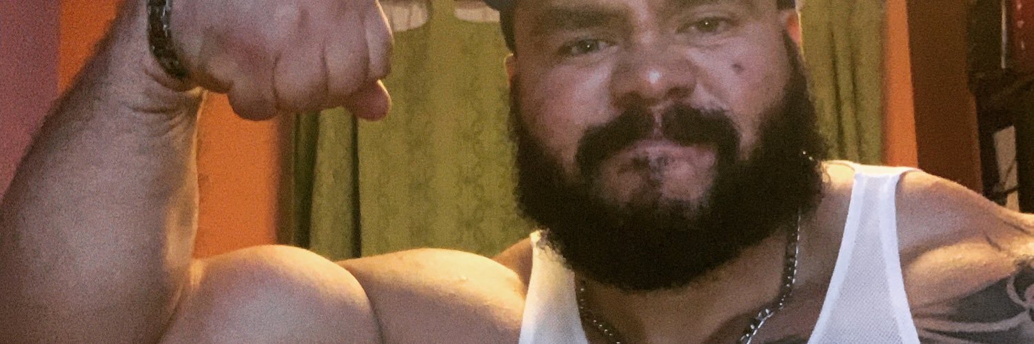 Hercules Torito banner