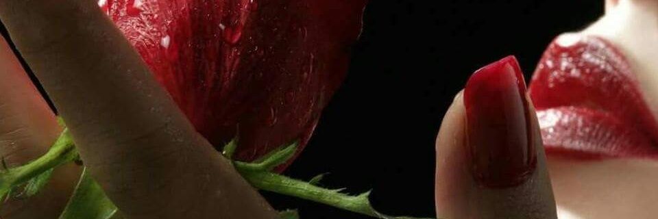 loudyhattab's profile banner image