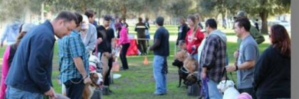 LARPBODog Profile Banner