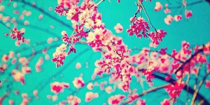 Angelimary08's profile banner image