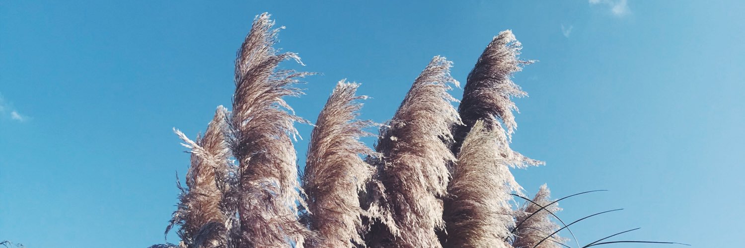 _eceacar_'s profile banner image