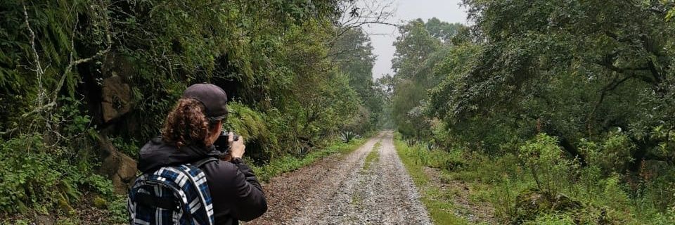 UnGochoEnMexico's profile banner image