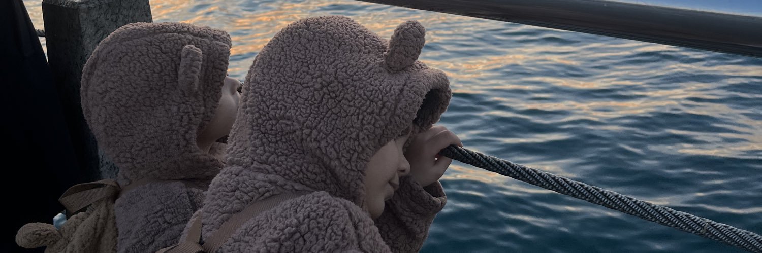 ayseee18's profile banner image