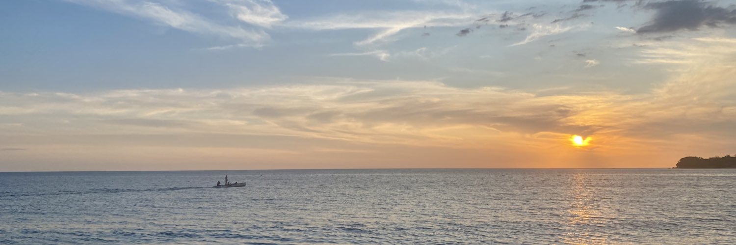LindsayAcuna's profile banner image