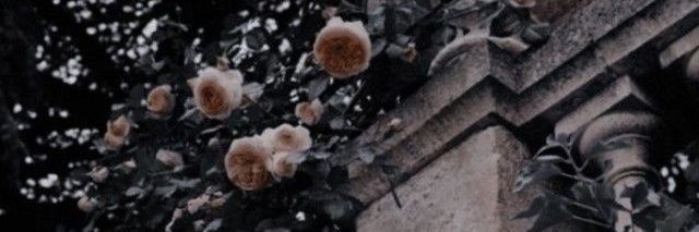 WreckedHumanity's profile banner image