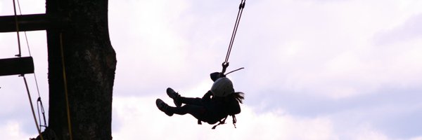 silverendscouts Profile Banner