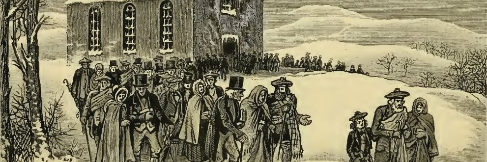 MidwestHorticulture🌱 banner