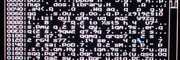 __lamer__ Profile Banner