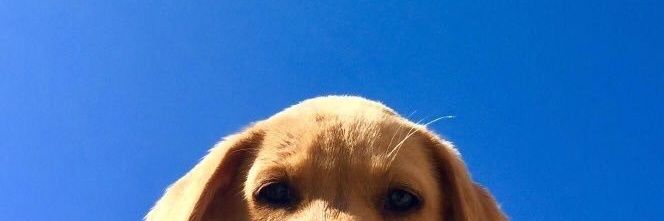 eeeenny_'s profile banner image