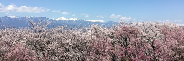 AtarayoSD Profile Banner