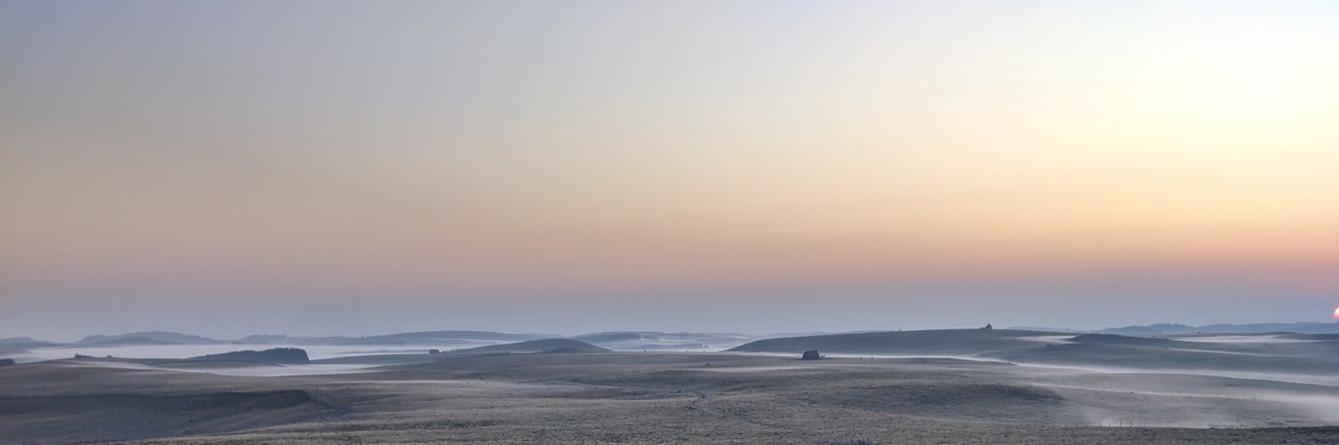 David Miet banner