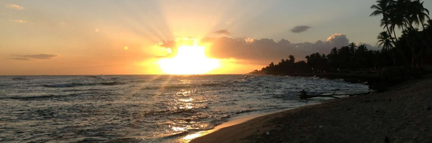 Jaime Rincón banner