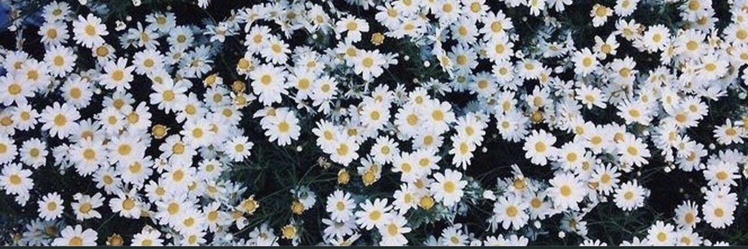 Dusk ツ banner
