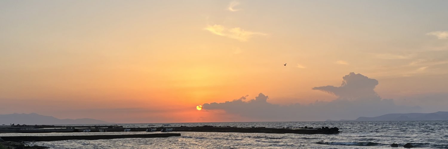 venusiaa__'s profile banner image