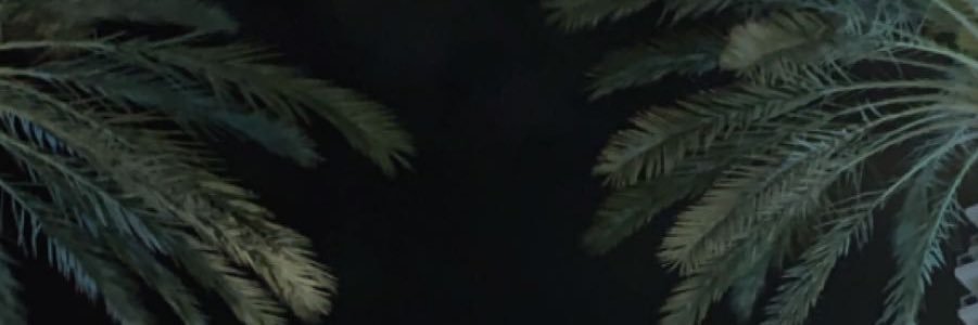 AShammami's profile banner image