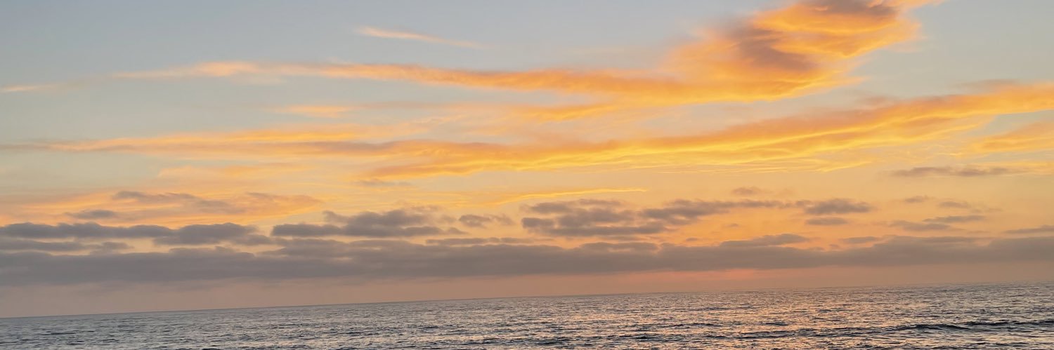 Vicky banner